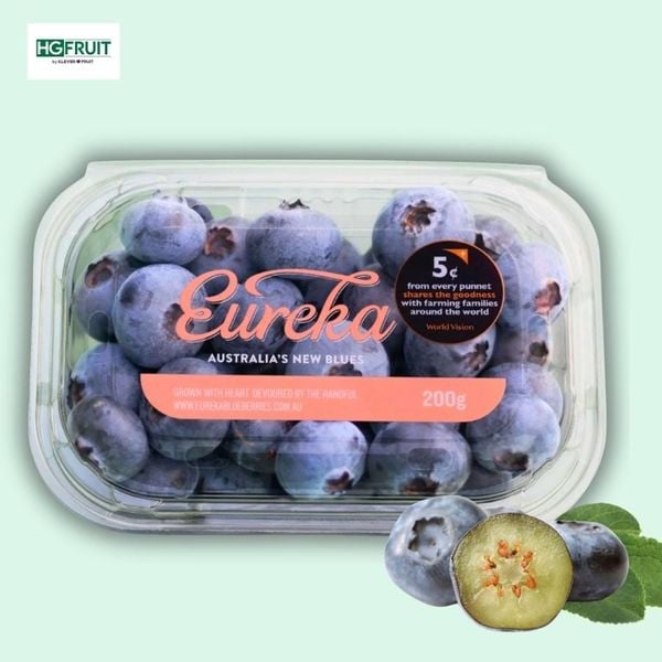 Việt Quất Úc giá sỉ tại Hoàng Giang Fruit