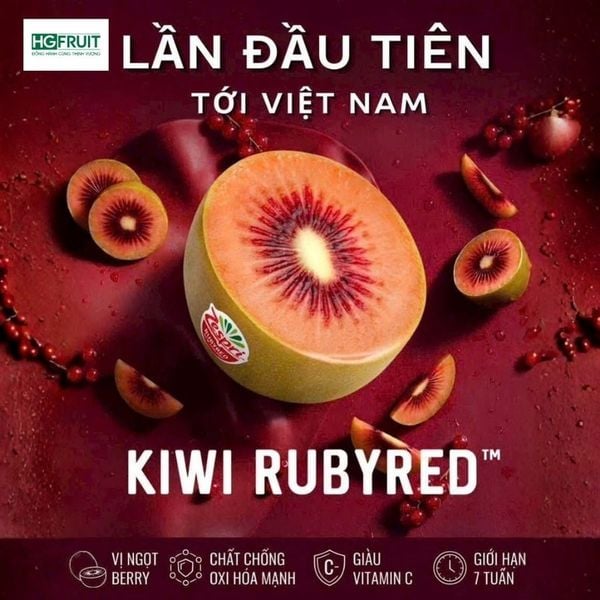 Kiwi RubyRed New Zealand nhập khẩu chính ngạch tại Hoàng Giang Fruit