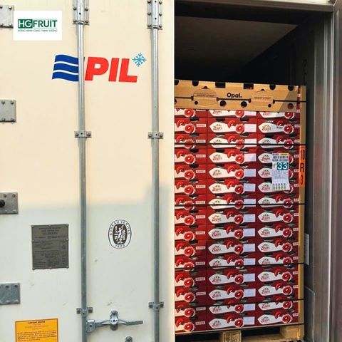  Kiwi RubyRed New Zealand - Kiwi Đỏ 