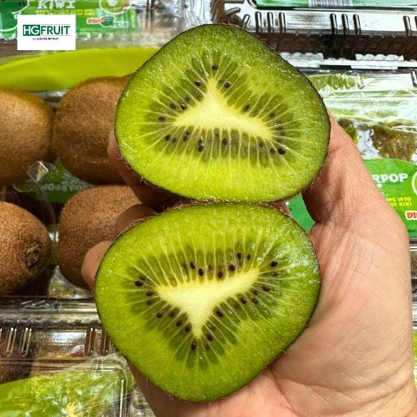 Kiwi Xanh Sugarpop - Kiwi Siêu Ngọt giá sỉ tại Hoàng Giang Fruit