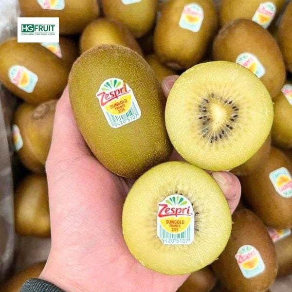 Kiwi vàng New Zealand trái cây nhập khẩu giá sỉ