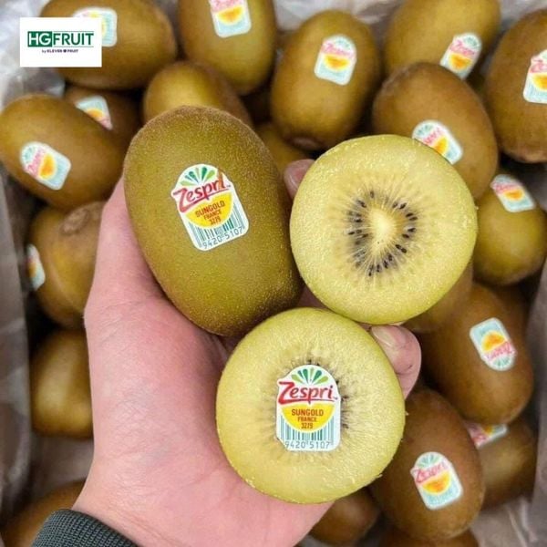Kiwi Vàng New Zealand
