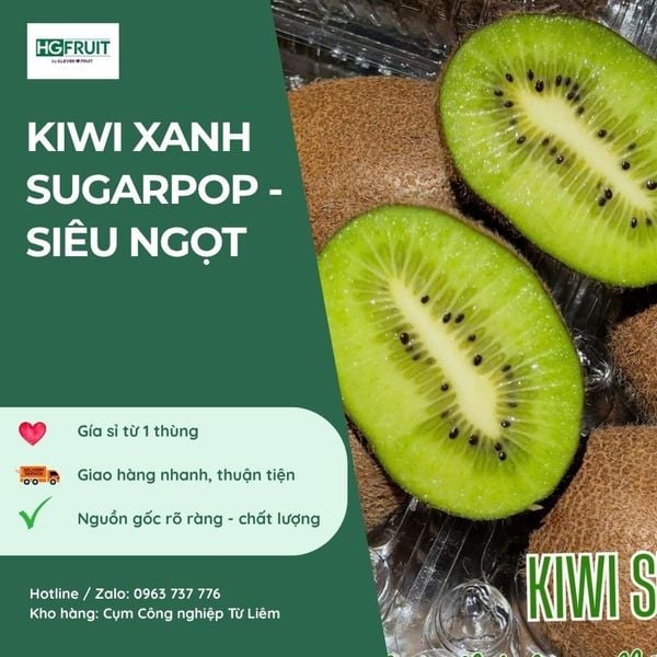 Kiwi Xanh Sugarpop - Kiwi Siêu Ngọt giá sỉ tại Hoàng Giang Fruit