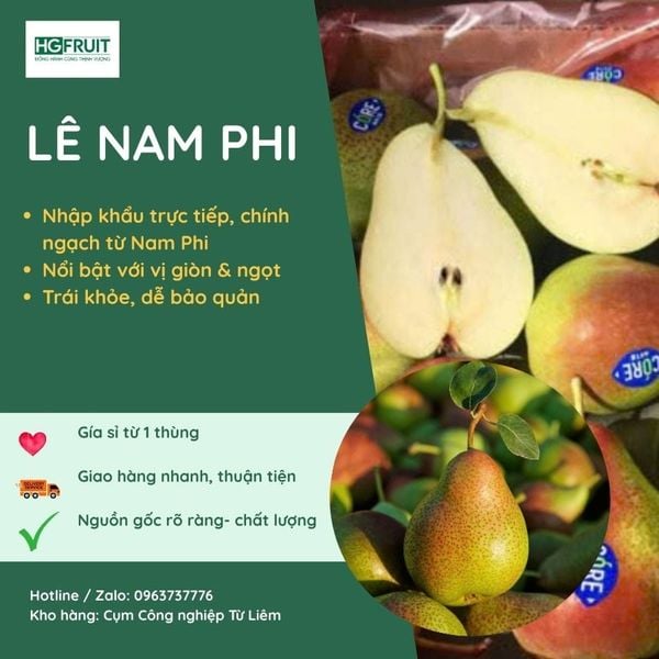 Lê Nam Phi Giá Sỉ
