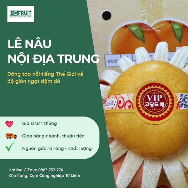 Lê nâu nội địa sỉ giá tốt tại Hoàng Giang Fruit
