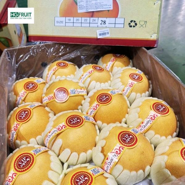 Lê nâu nội địa sỉ giá tốt tại Hoàng Giang Fruit