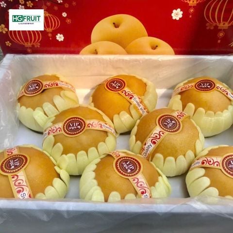  Lê Nâu Nội Địa Trung 