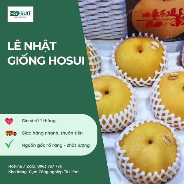Lê Nhật giá sỉ tại Hoàng Giang Fruit