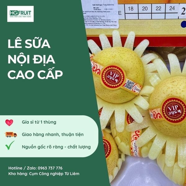 Lê sữa nội địa giá mềm, dễ bán tại Hoàng Giang Fruit