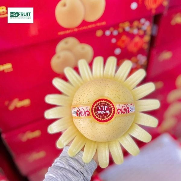 Lê sữa nội địa giá mềm, dễ bán tại Hoàng Giang Fruit