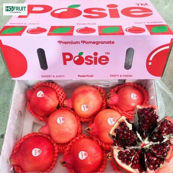 Lựu Posie Nội Địa Trung