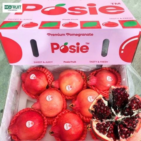  Lựu Posie Nội Địa Trung 