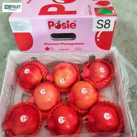  Lựu Posie Nội Địa Trung 