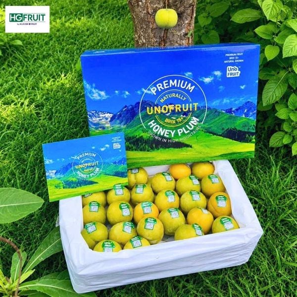 Mận Mật Ong Nội Địa Trung