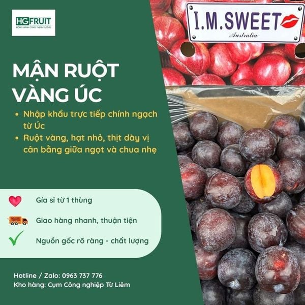 Mận Ruột Vàng Úc giá sỉ tại Hoàng Giang Fruit