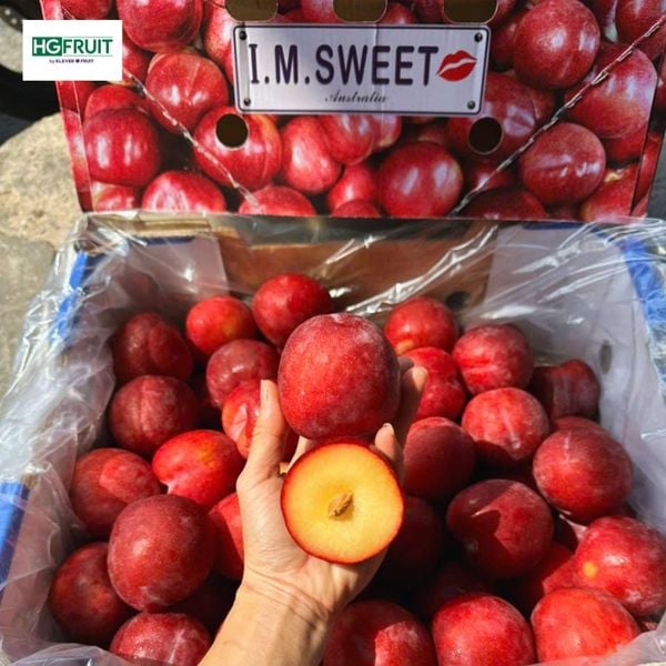 Mận ruột vàng úc