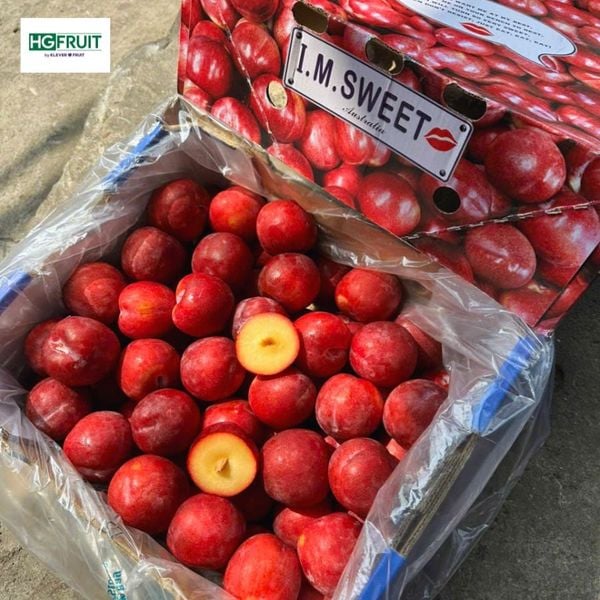 Mận ruột vàng úc