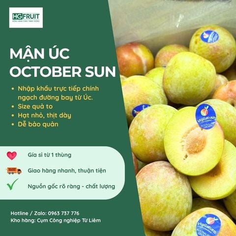  Mận Úc October Sun 