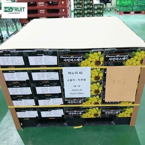  Nho Sữa Hàn Quốc - Nho Mẫu Đơn Shine Muscat Hàn Quốc 