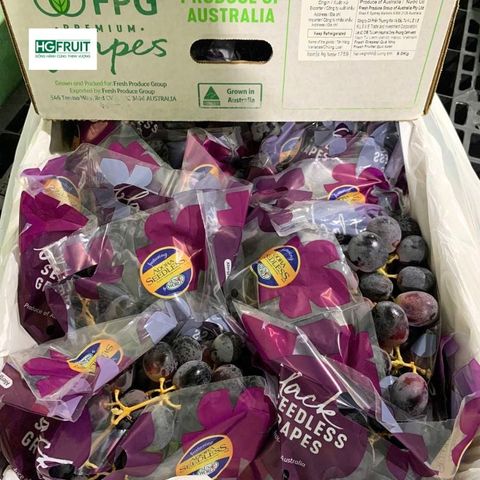  Nho Đen Không Hạt Úc 