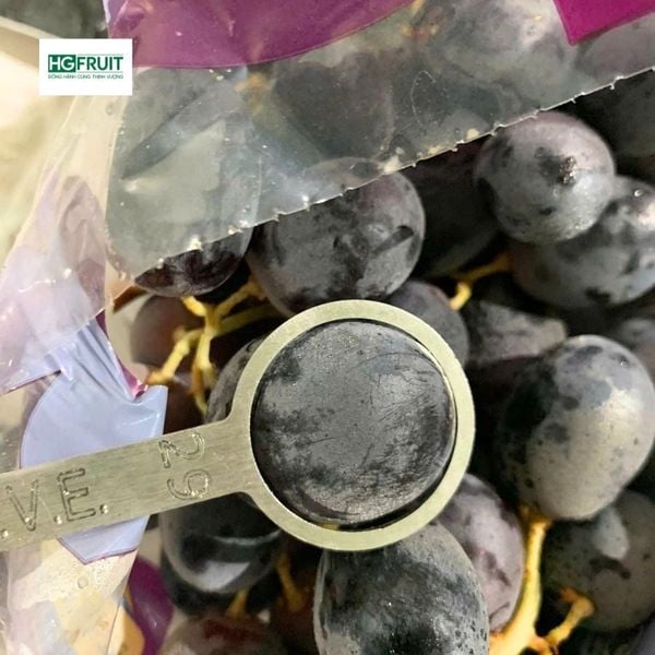 Nho Đen Không Hạt Úc Adora