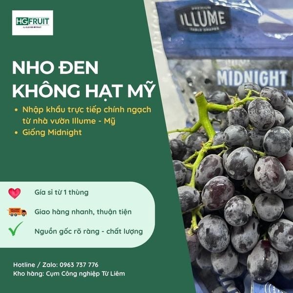 Nho đen không hạt Mỹ giá sỉ tại Hoàng Giang Fruit