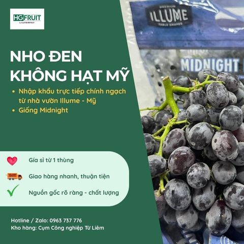  Nho Đen Không Hạt Mỹ ILLUME 