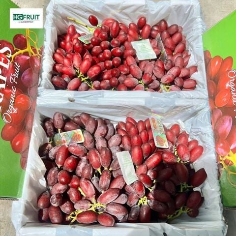  Nho Đỏ Hoàng Hậu Nội Địa Trung 
