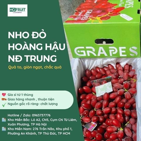  Nho Đỏ Hoàng Hậu Nội Địa Trung 