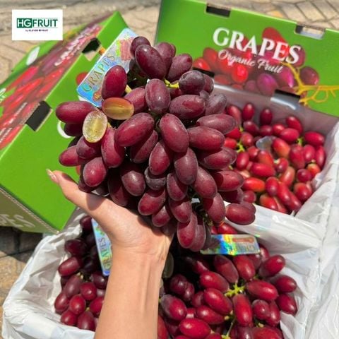  Nho Đỏ Hoàng Hậu Nội Địa Trung 