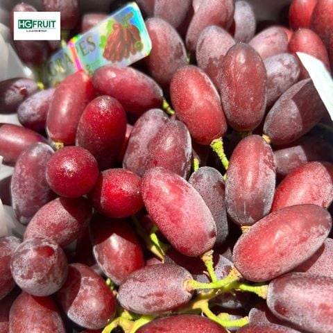  Nho Đỏ Hoàng Hậu Nội Địa Trung 