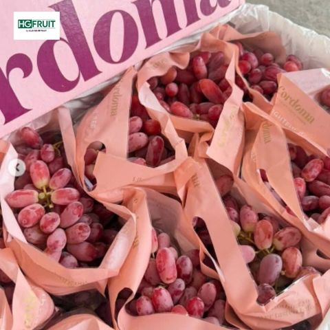  Nho Đỏ Úc - Cordoma 