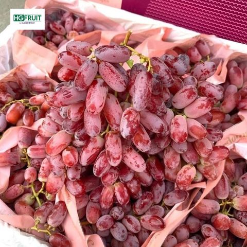  Nho Đỏ Úc - Cordoma 