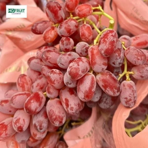Nho Đỏ Úc giá sỉ tại Hoàng Giang Fruit