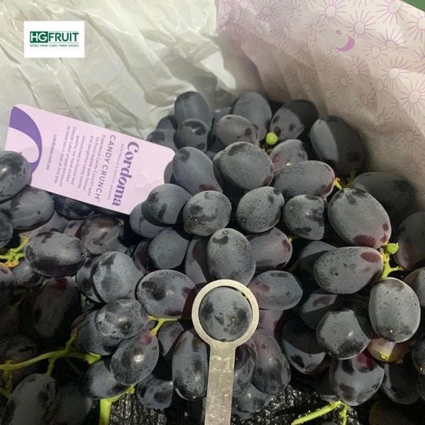 Nho đen kẹo Candy Crunch Úc nhập khẩu chính ngạch