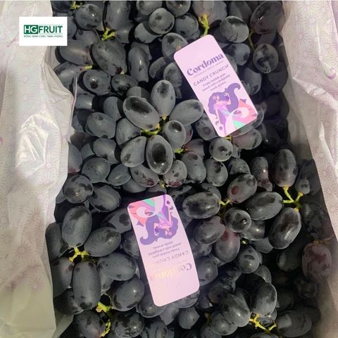  Nho Đen Kẹo Candy Crunch Úc 