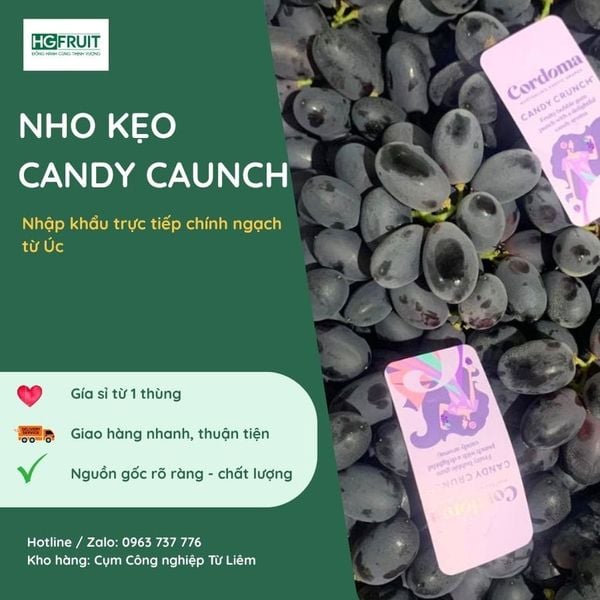 Nho đen kẹo Candy Crunch Úc nhập khẩu chính ngạch