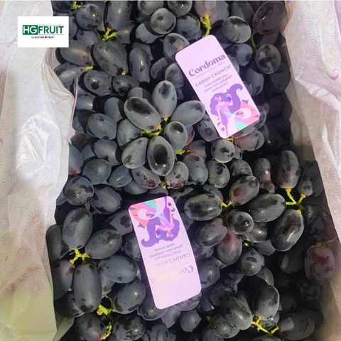  Nho Đen Kẹo Candy Crunch Úc 