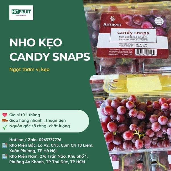 Nho Kẹo Candy Snaps Mỹ