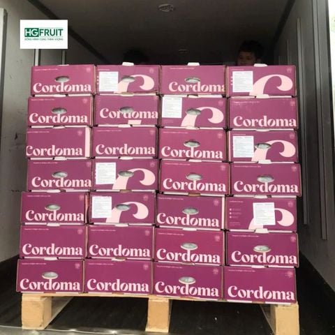  Nho Đen Kẹo Candy Crunch Úc 