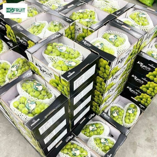Nho Sữa Hàn Quốc