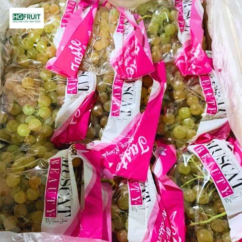  Nho Muscat Beauty Chile 