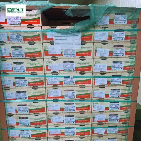  Nho Muscat Beauty Chile 