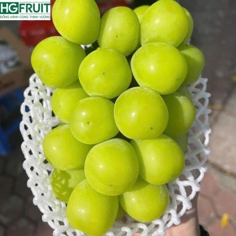  Nho Sữa Hàn Quốc - Nho Mẫu Đơn Shine Muscat Hàn Quốc 