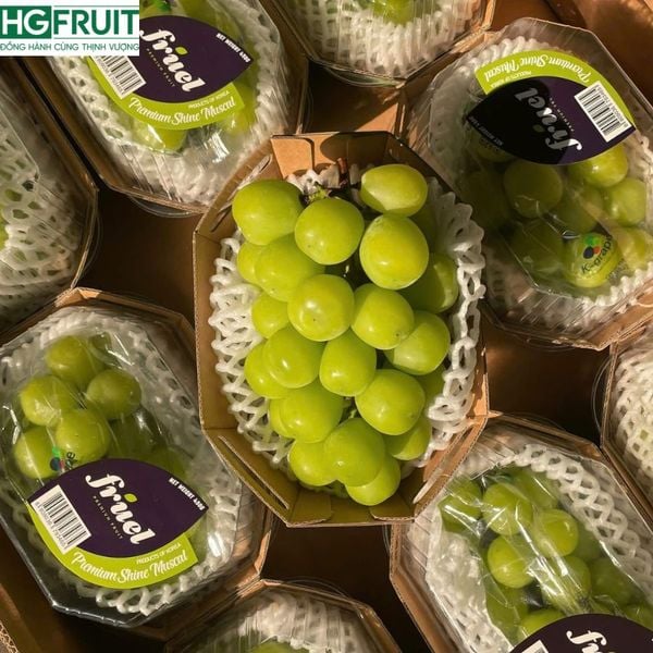 Nho Sữa Hàn Quốc - Trái Cây Nhập Khẩu Giá Sỉ Từ Hoàng Giang Fruit
