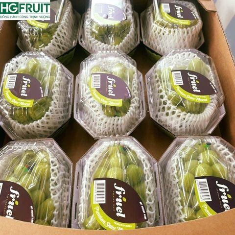  Nho Sữa Hàn Quốc - Nho Mẫu Đơn Shine Muscat Hàn Quốc 