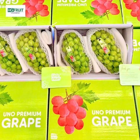  Nho Sữa Nội Địa Trung 