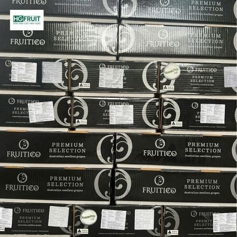  Nho Xanh Autumn Crisp Úc | Fruitico 