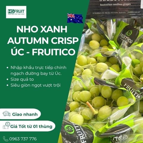  Nho Xanh Autumn Crisp Úc | Fruitico 