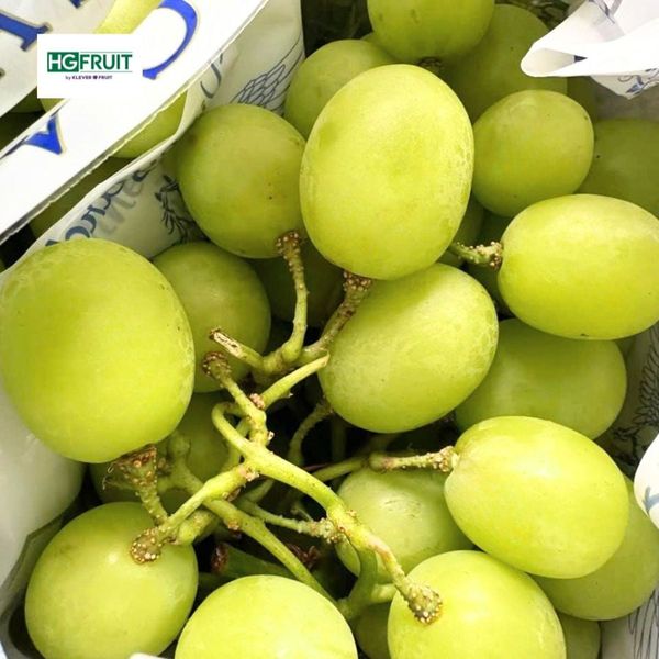 Nho Xanh Không Hạt Autumn Crisp Úc | Pegasus
